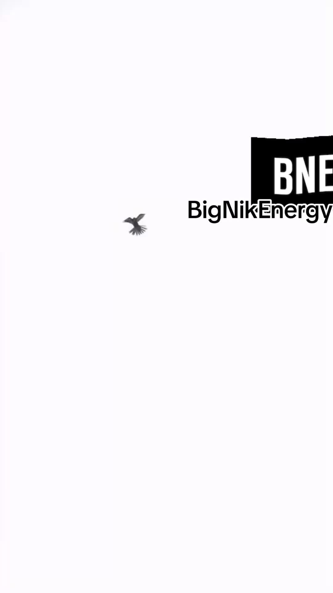 @🎧🖤BigNikEnergy🖤🎬🦚🌿