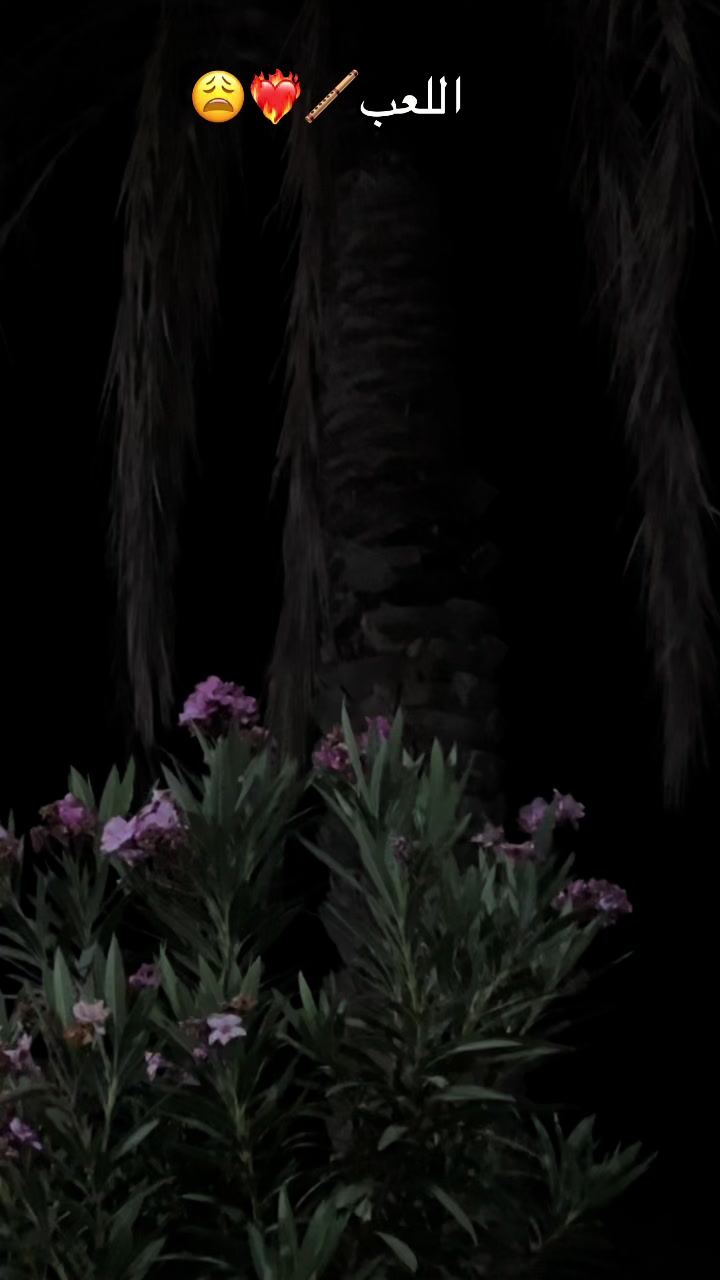 @𝙈𝙖𝙢𝙤𝙪𝙣 𝘽𝙤𝙪𝙖𝙧𝙤𝙙𝙟