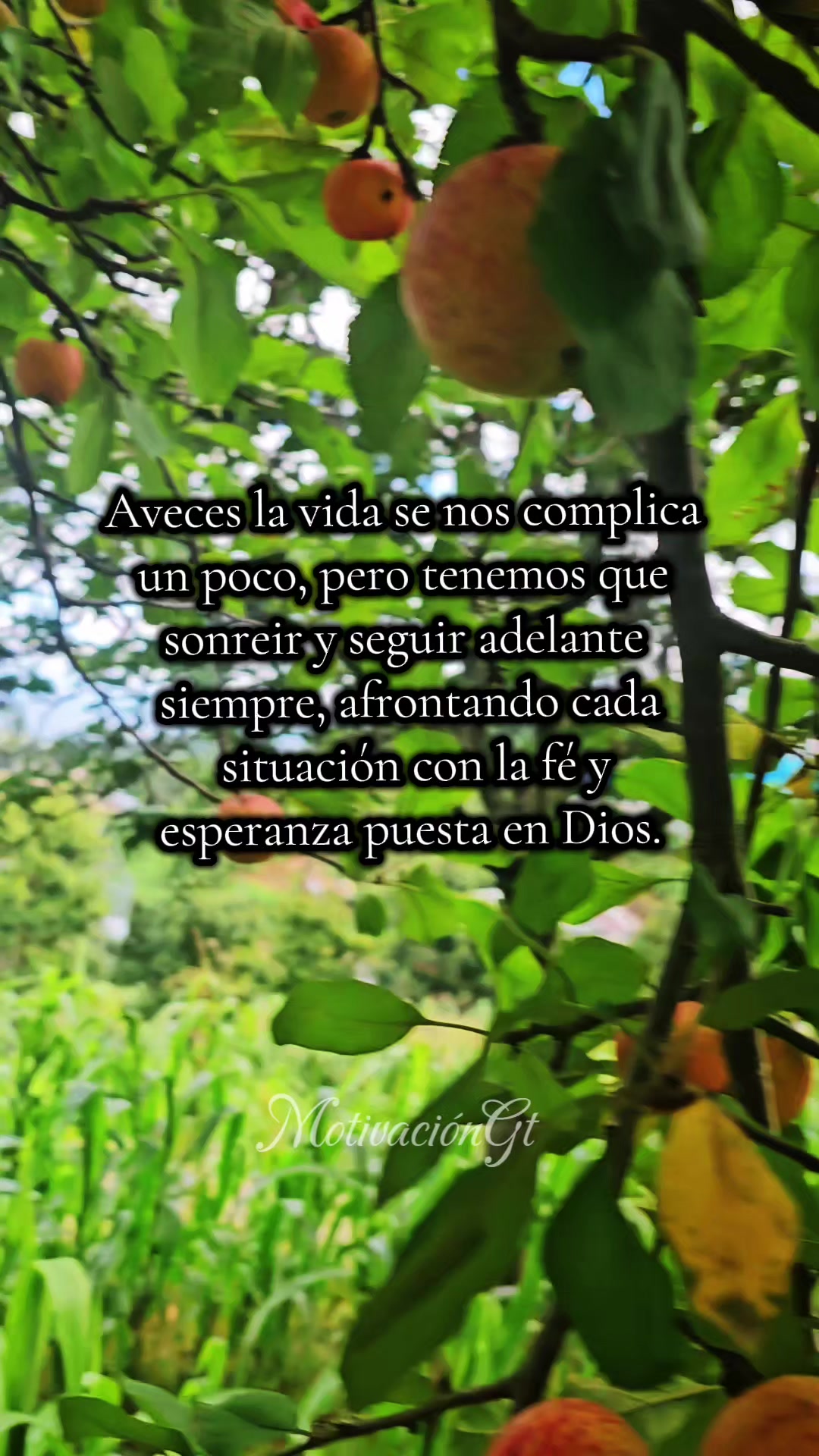 @CONSTRUCCIONES VICASTHER