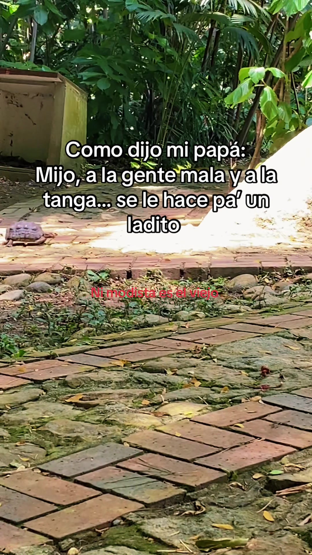 @ISRRAH