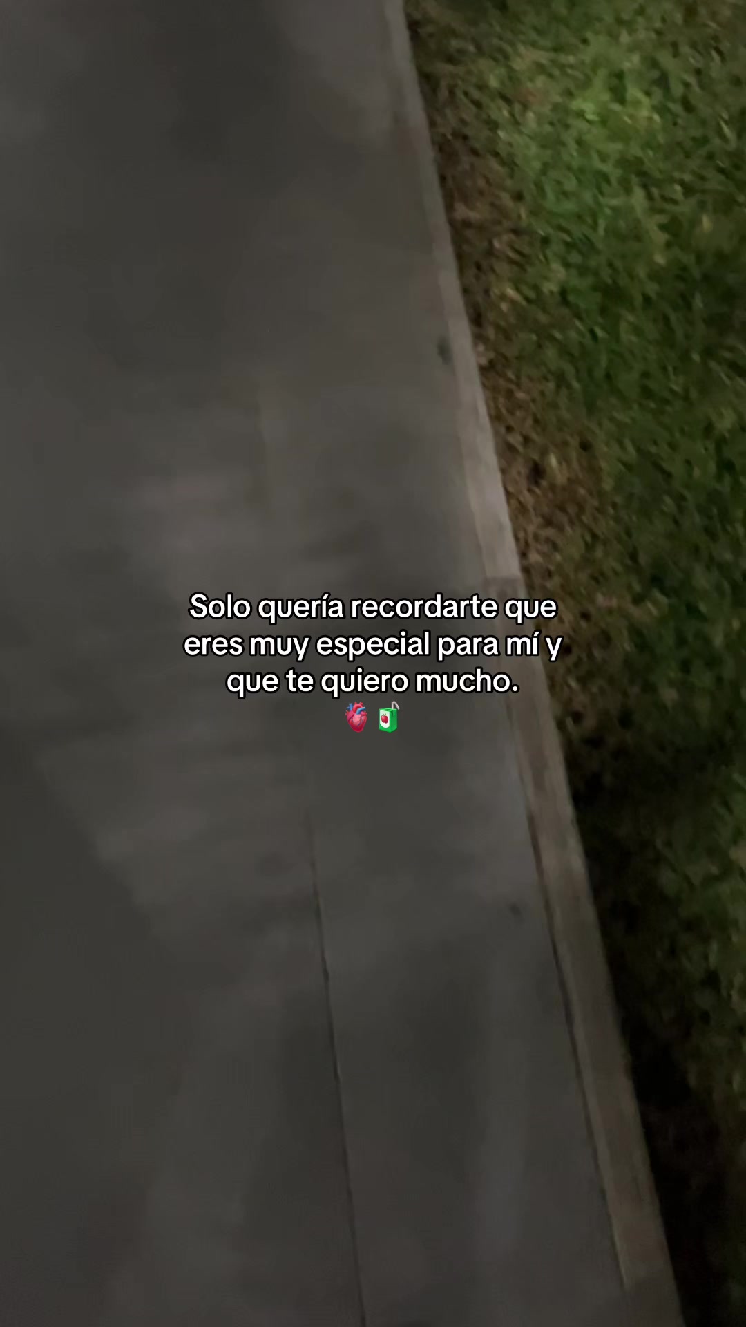 @Gatocix 🐱