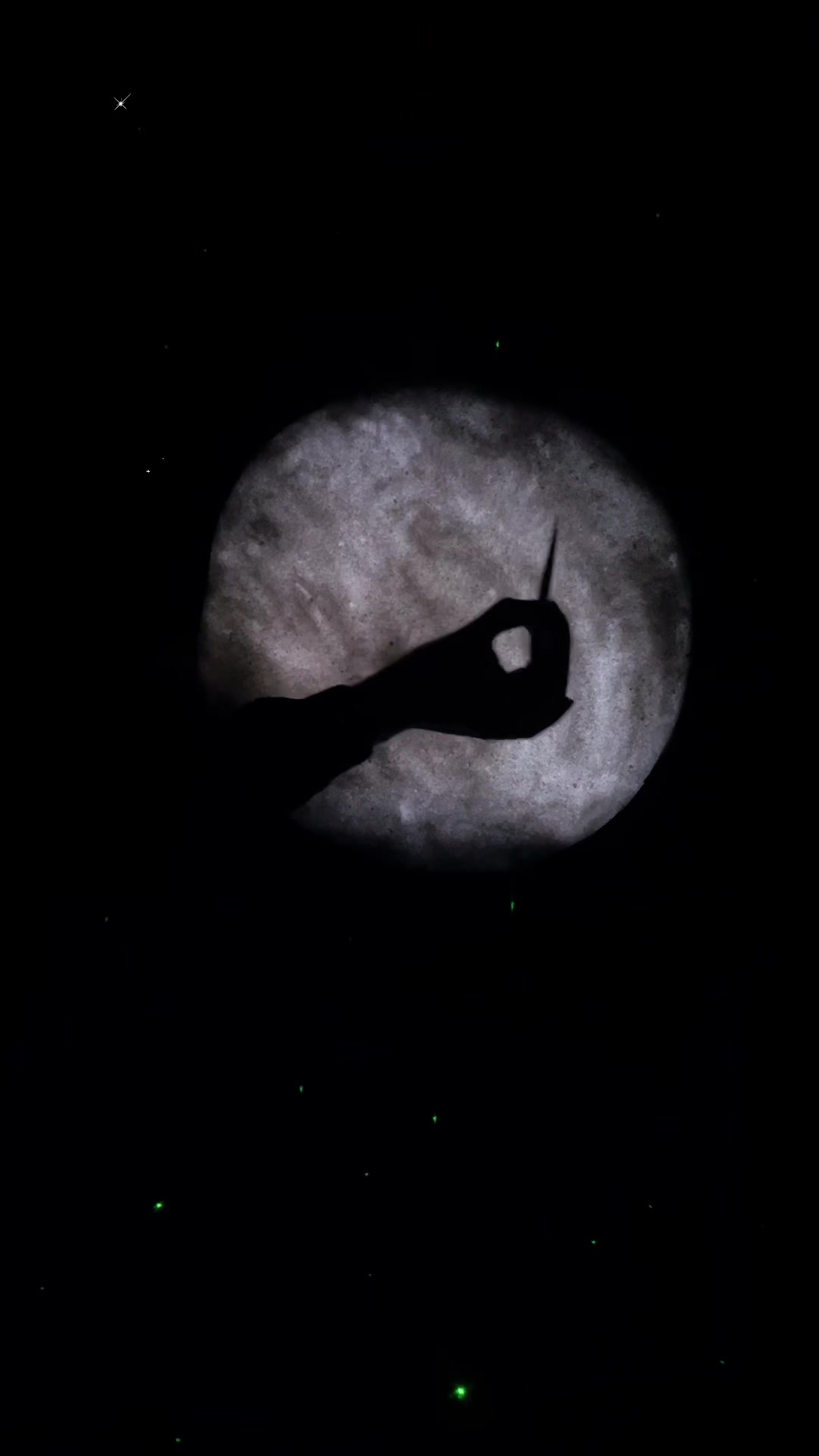 @بنتك ياليبيا 🌗