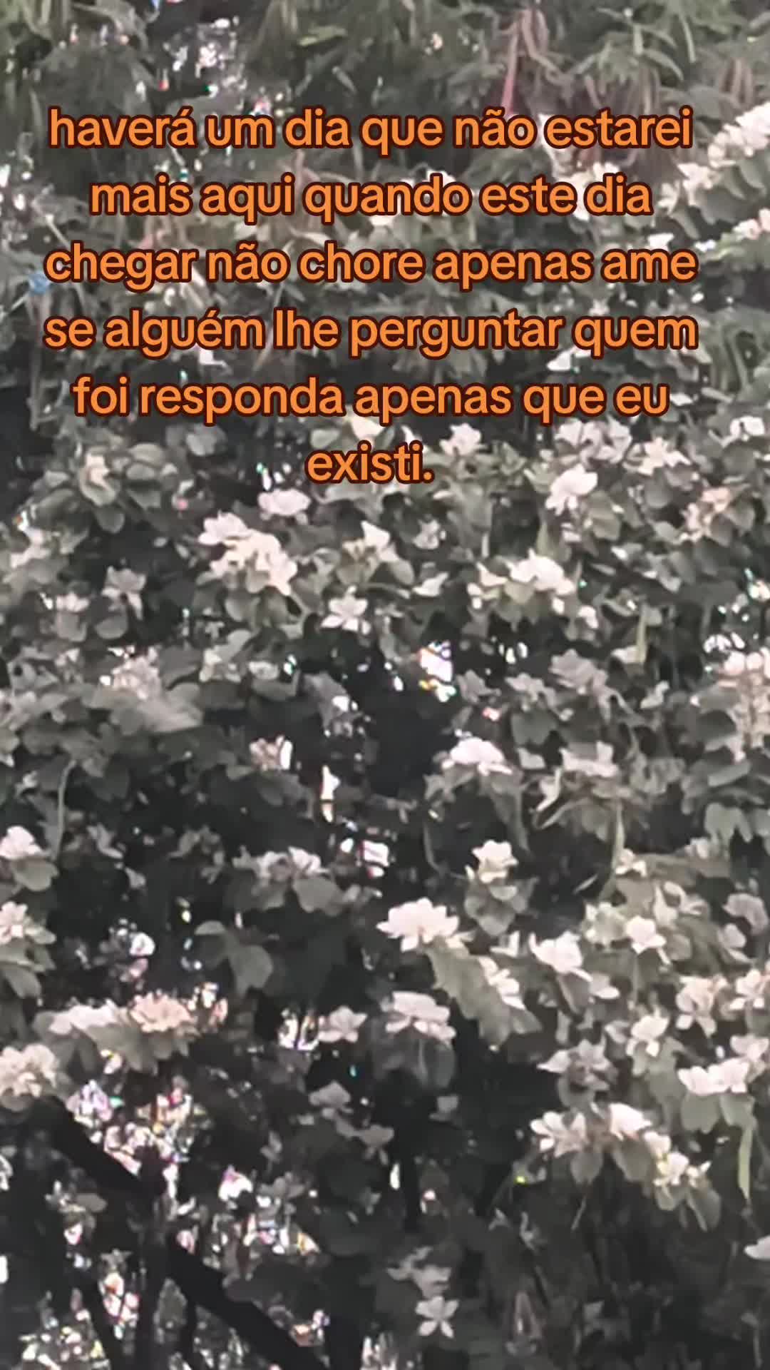 @wilsonpereira