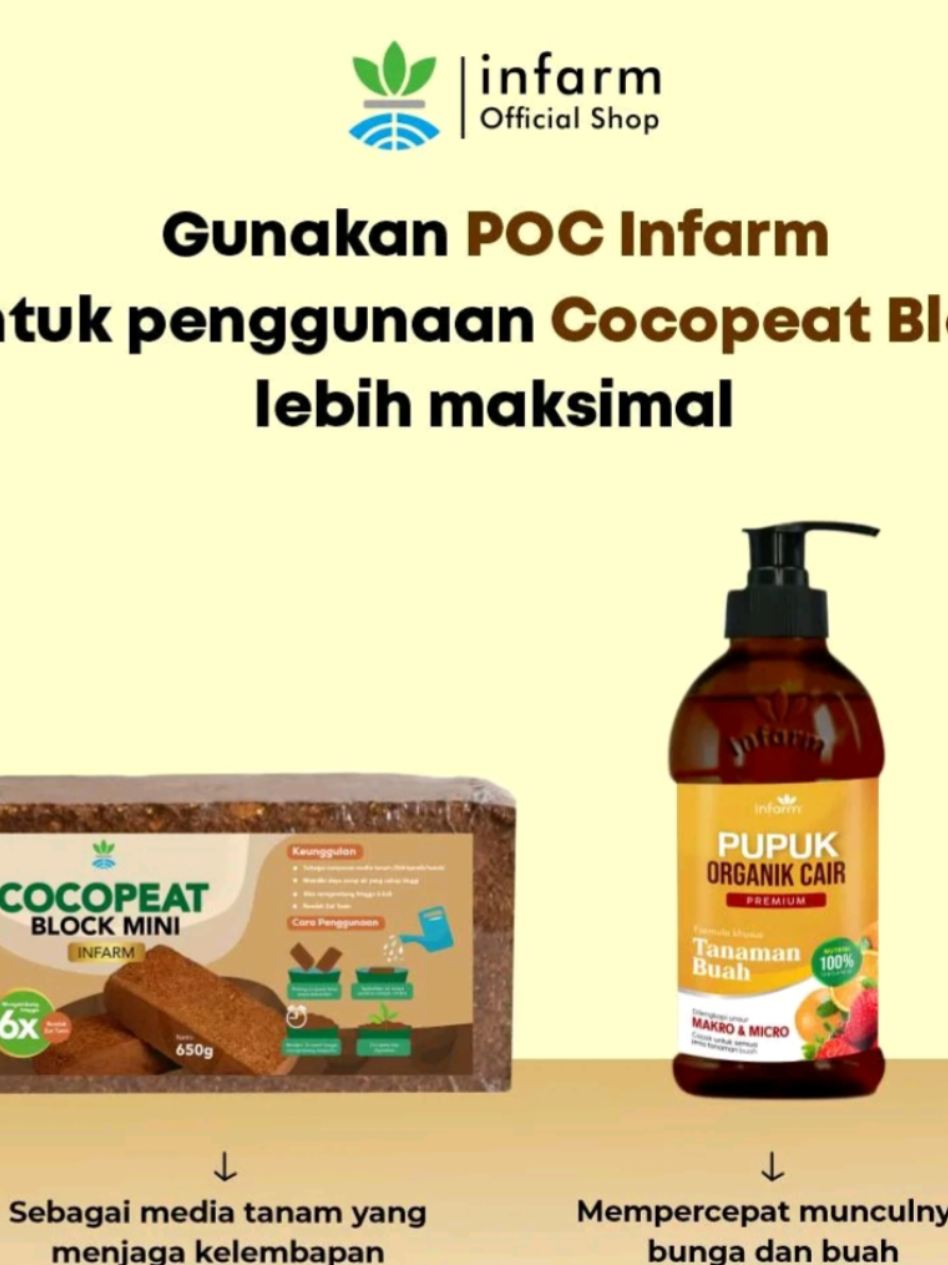 @Berkebun Berkah