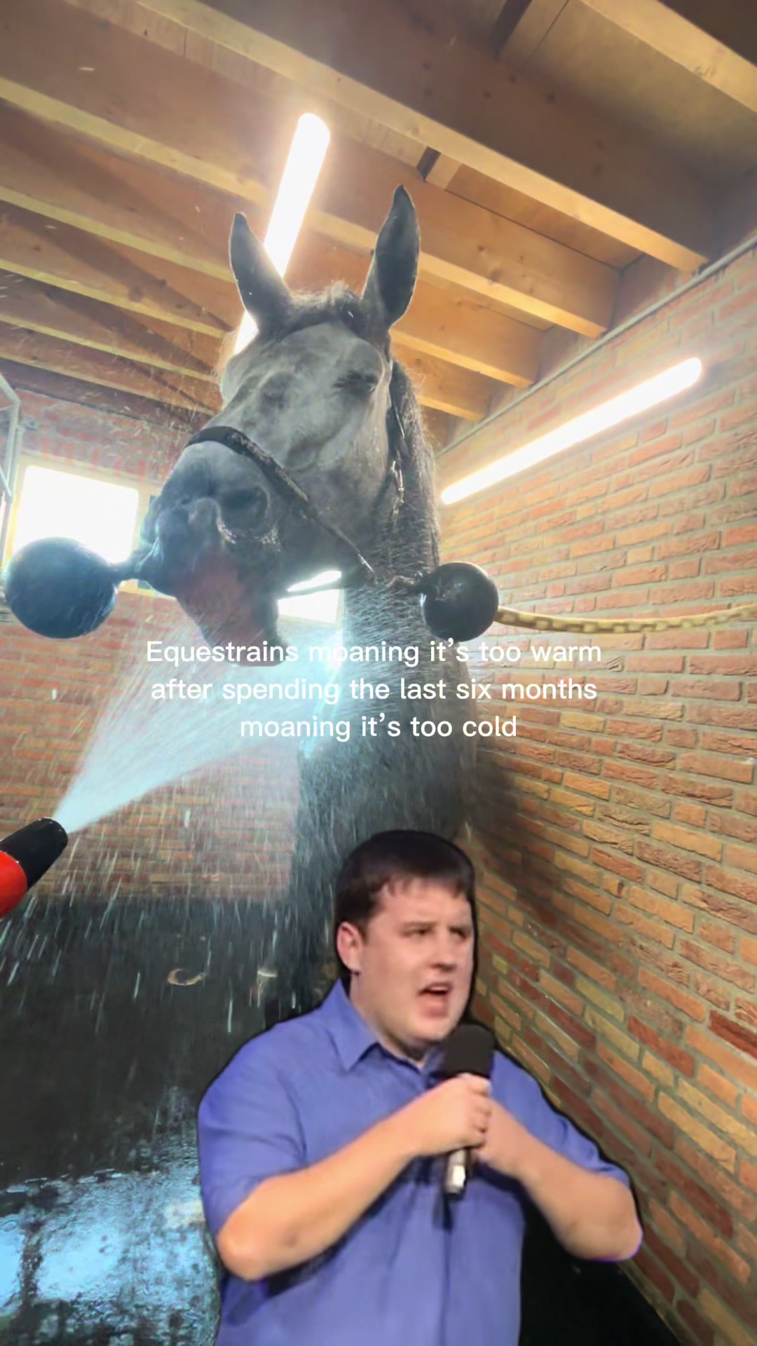 @equinikola