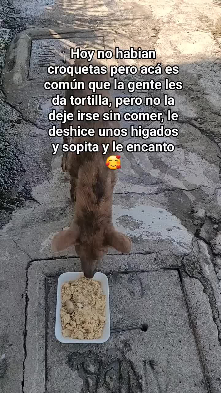 @𝕃𝕚𝕤𝕤 ℝ𝕖yes🇸🇻