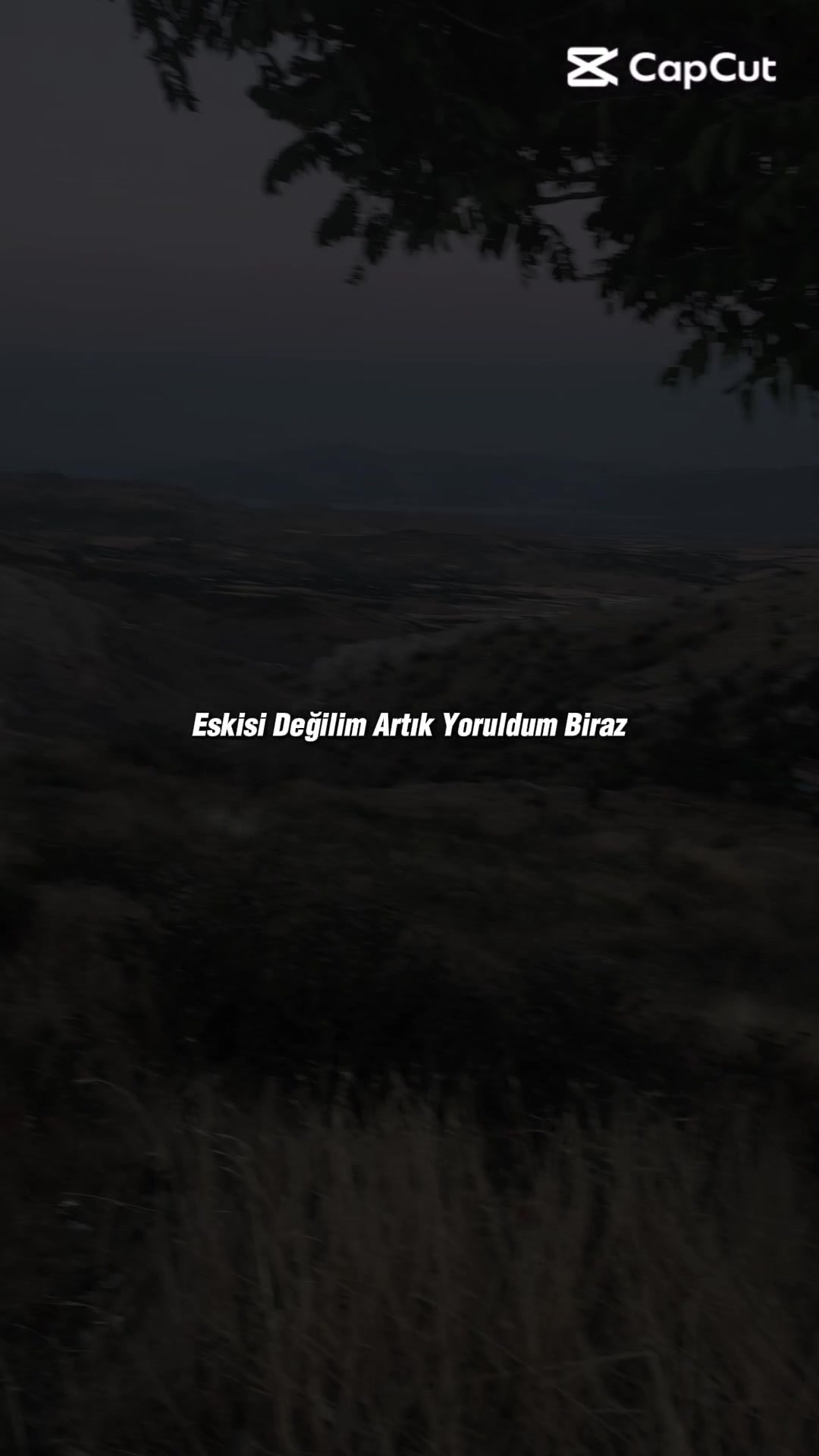 @ミ★ Ne&Ccedil;E🍁 ZOZAN ★彡