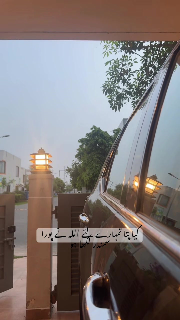 @Mahnoor Khan