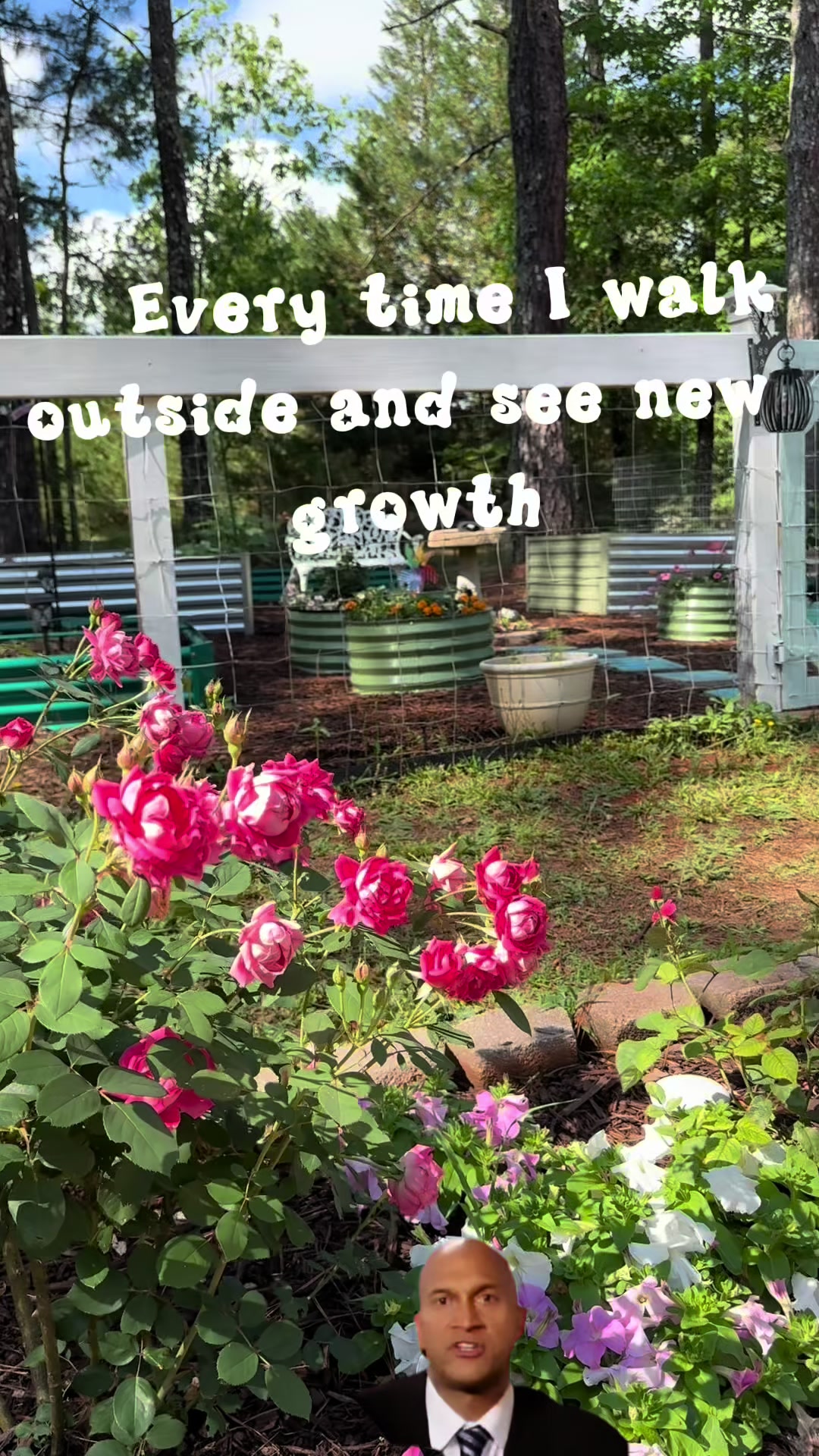 @Cottageonwynn