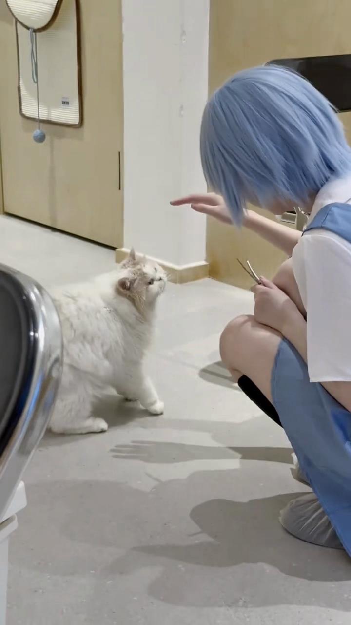 @₉⁹₉𝒯❁𝒹𝑒𝓈𝑒𝓃𝑔𝑒𝓁₉⁹₉
