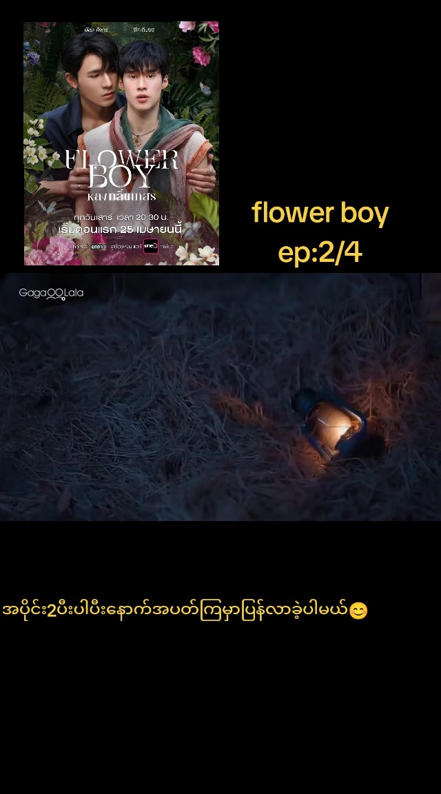 @pp(bl fan)