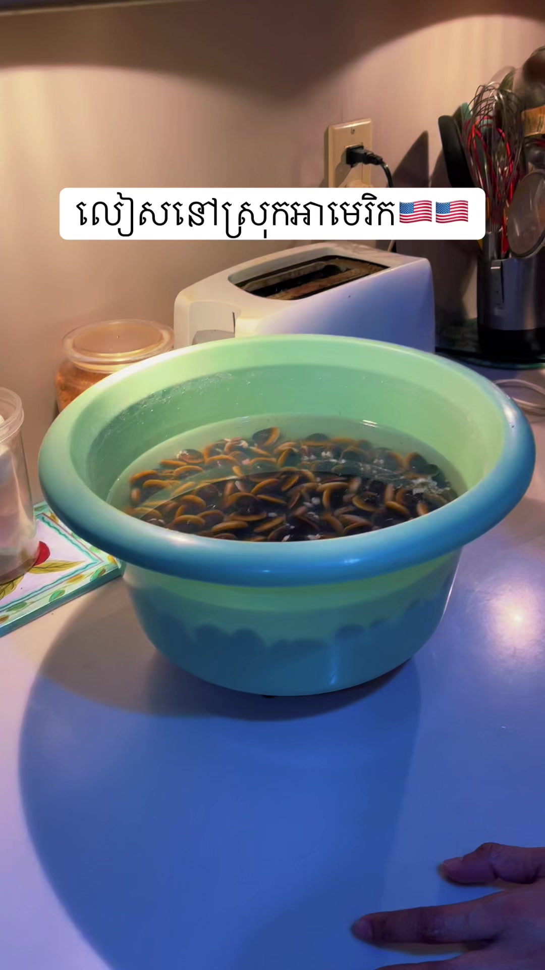 @N๐ฅ๐ฐ๐ญ๐บ๐ธ
