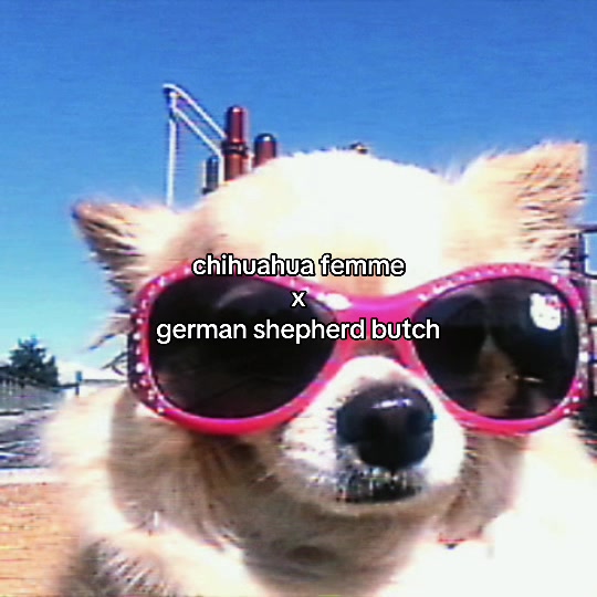 @annie