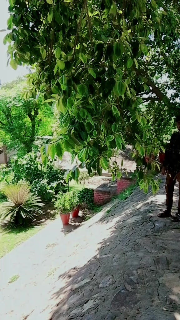 @zain Malik 👆🔥💯❤️🫂💓🥀👍