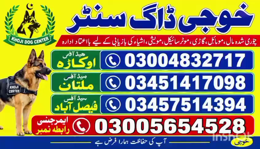 @khoji dog contact number