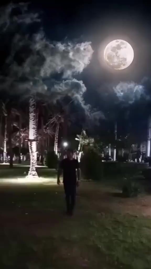 @๐๐ ู
ุฌุฏู ุงูุฒุฑุจู ๐๐