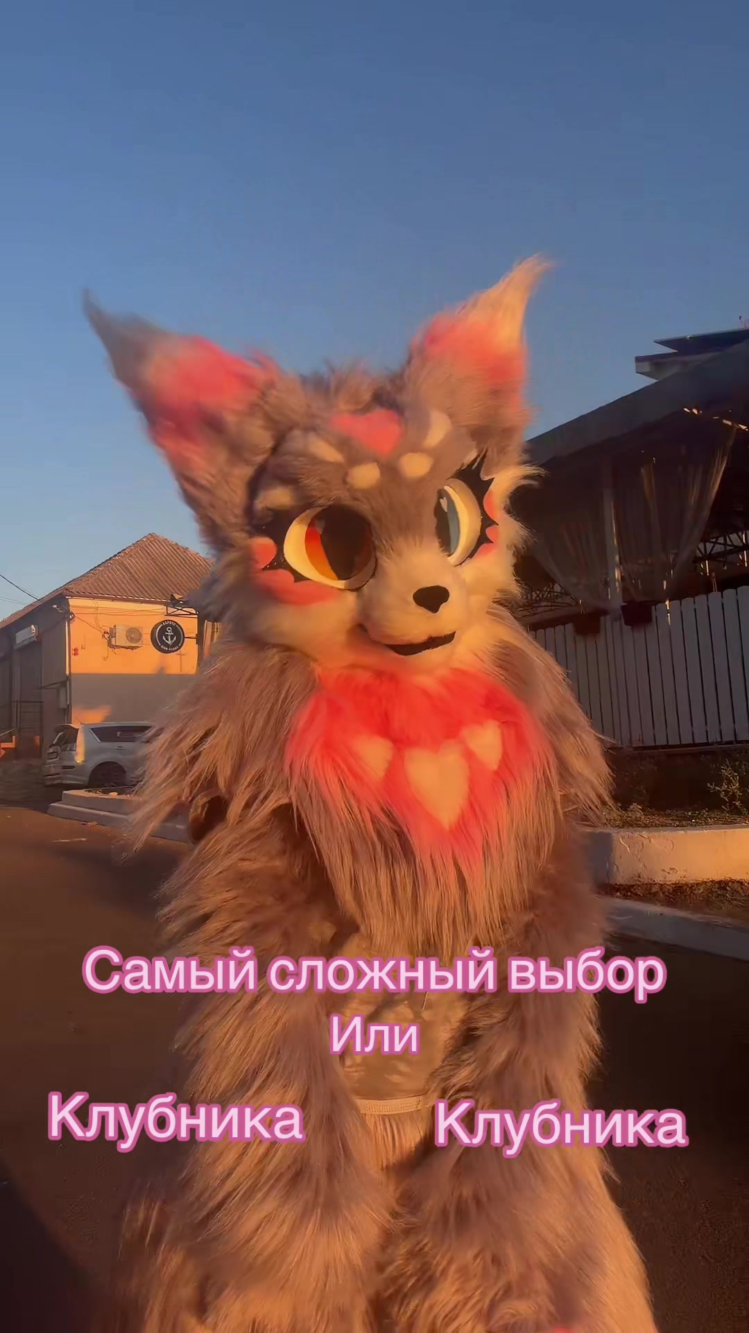 @🌷❀。˚⋆𝒀𝒖𝒏𝒊𝒕𝒕𝒚⋆˚。❀🌷