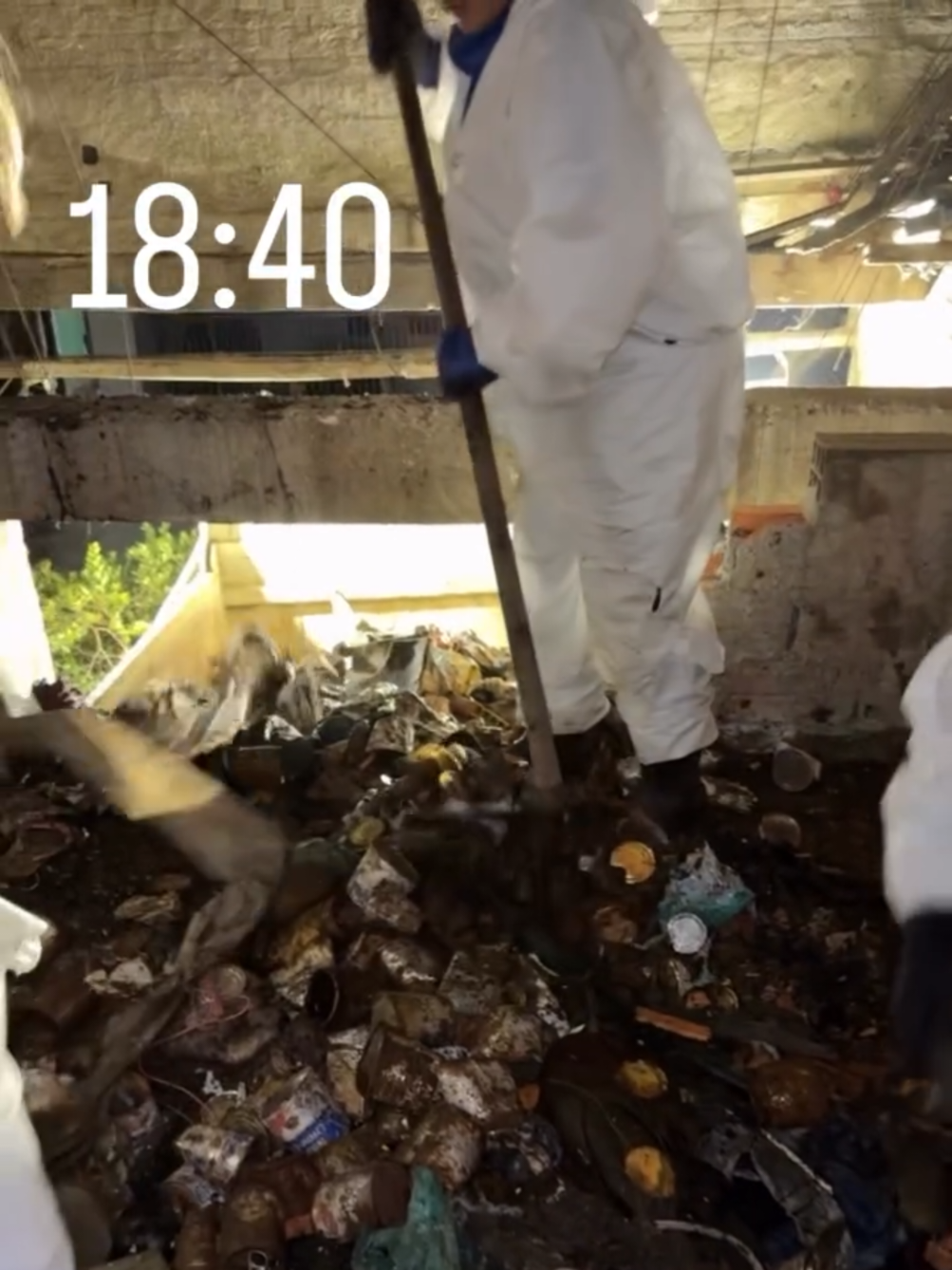 @Fã do Diárias do Gui 💙