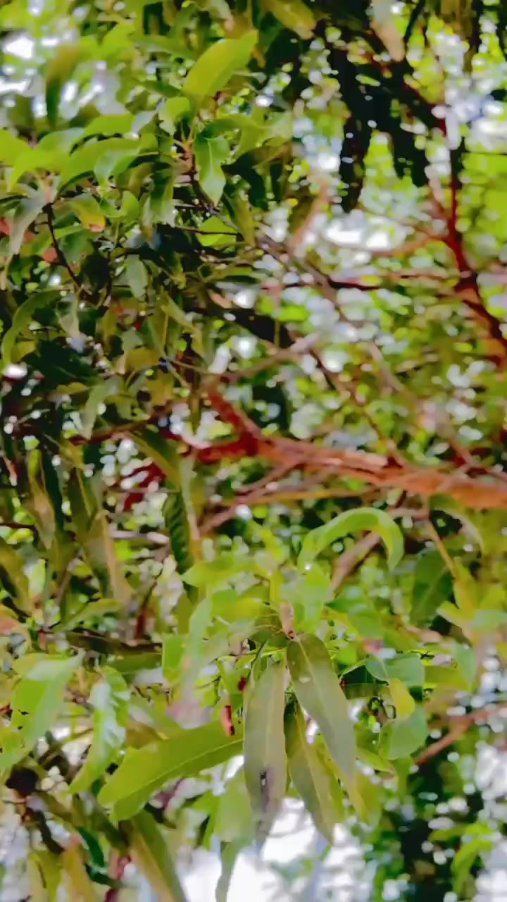 @ᴋᴅ_ᴅɪʟᴏᴊᴀɴ🔥🤘