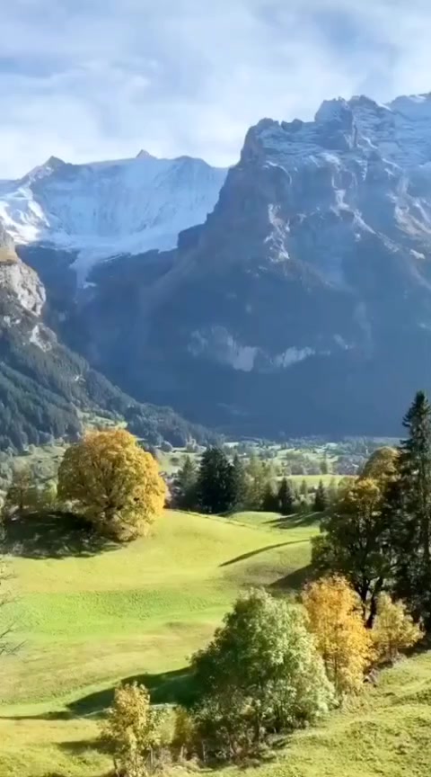 @Lionghoaho