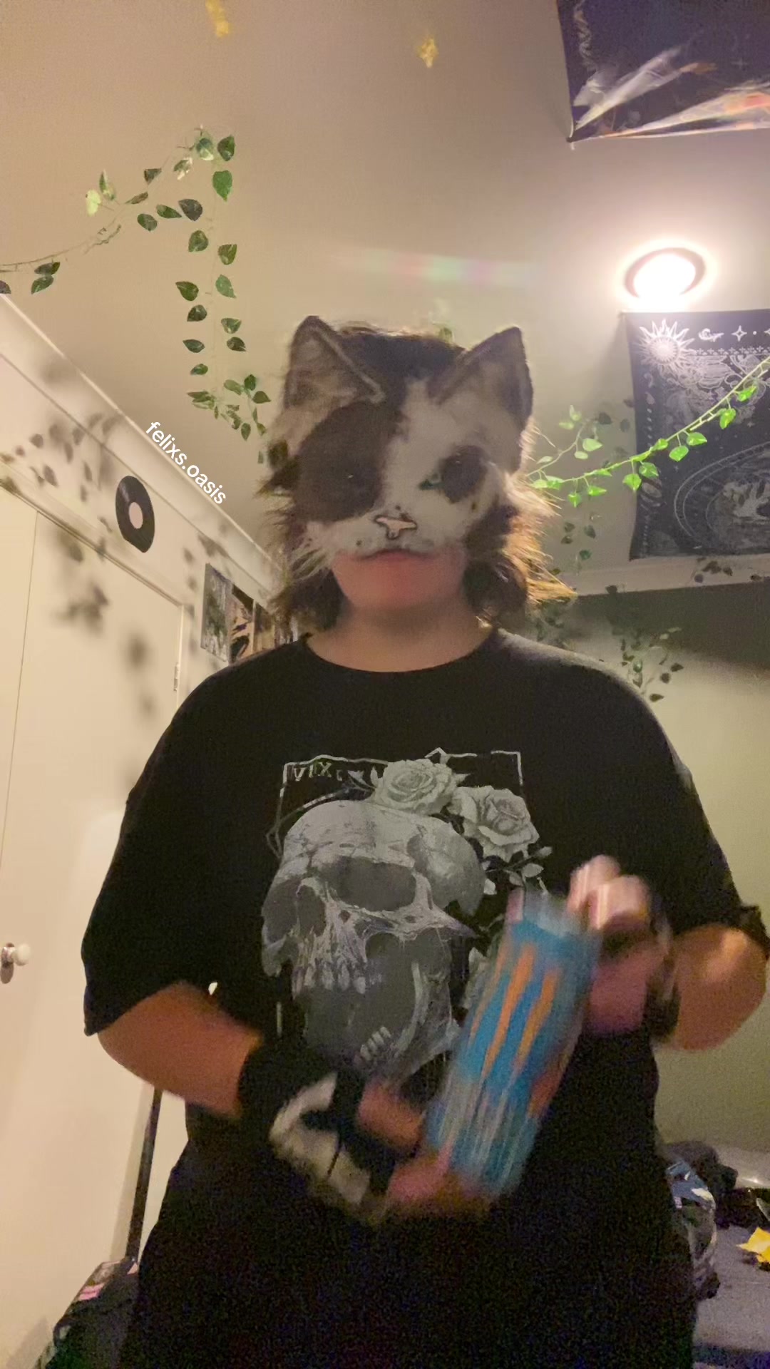 @★ ☠︎︎ felix ☠︎︎ ★