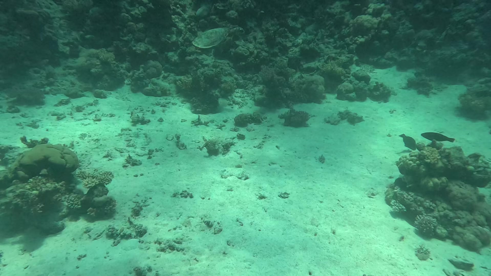 @Ehab.Aljawi
