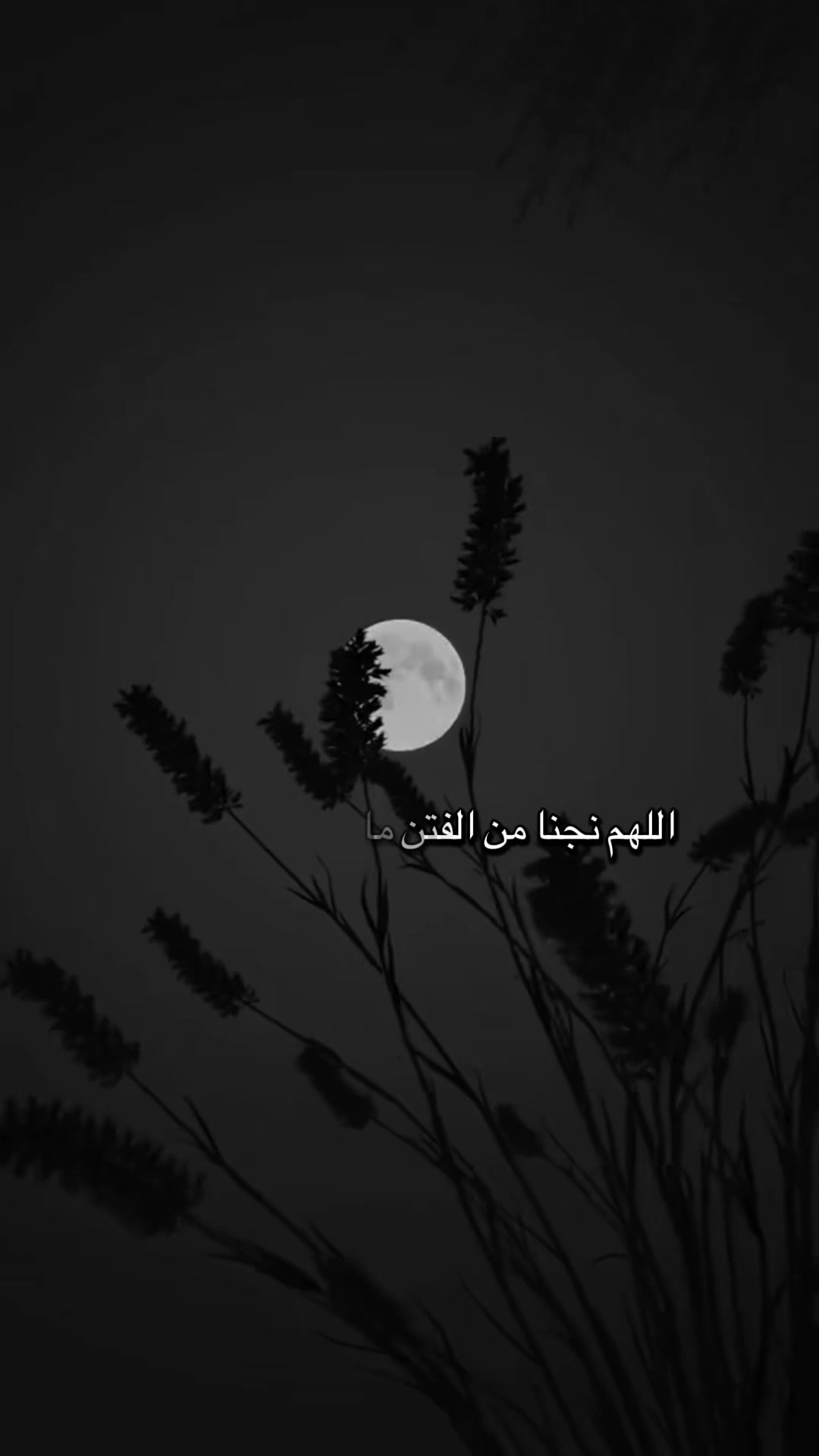 @طريق الجنه