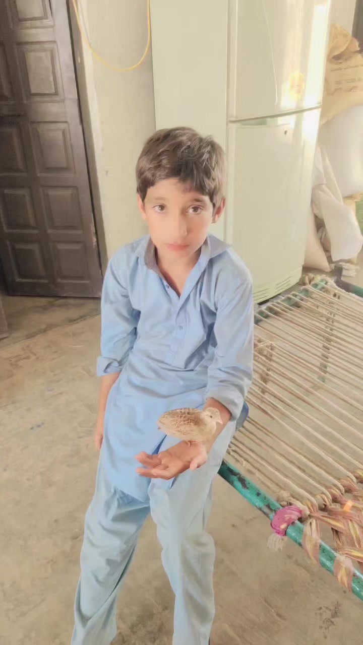 @♥️Ch Safder Sahu 👑