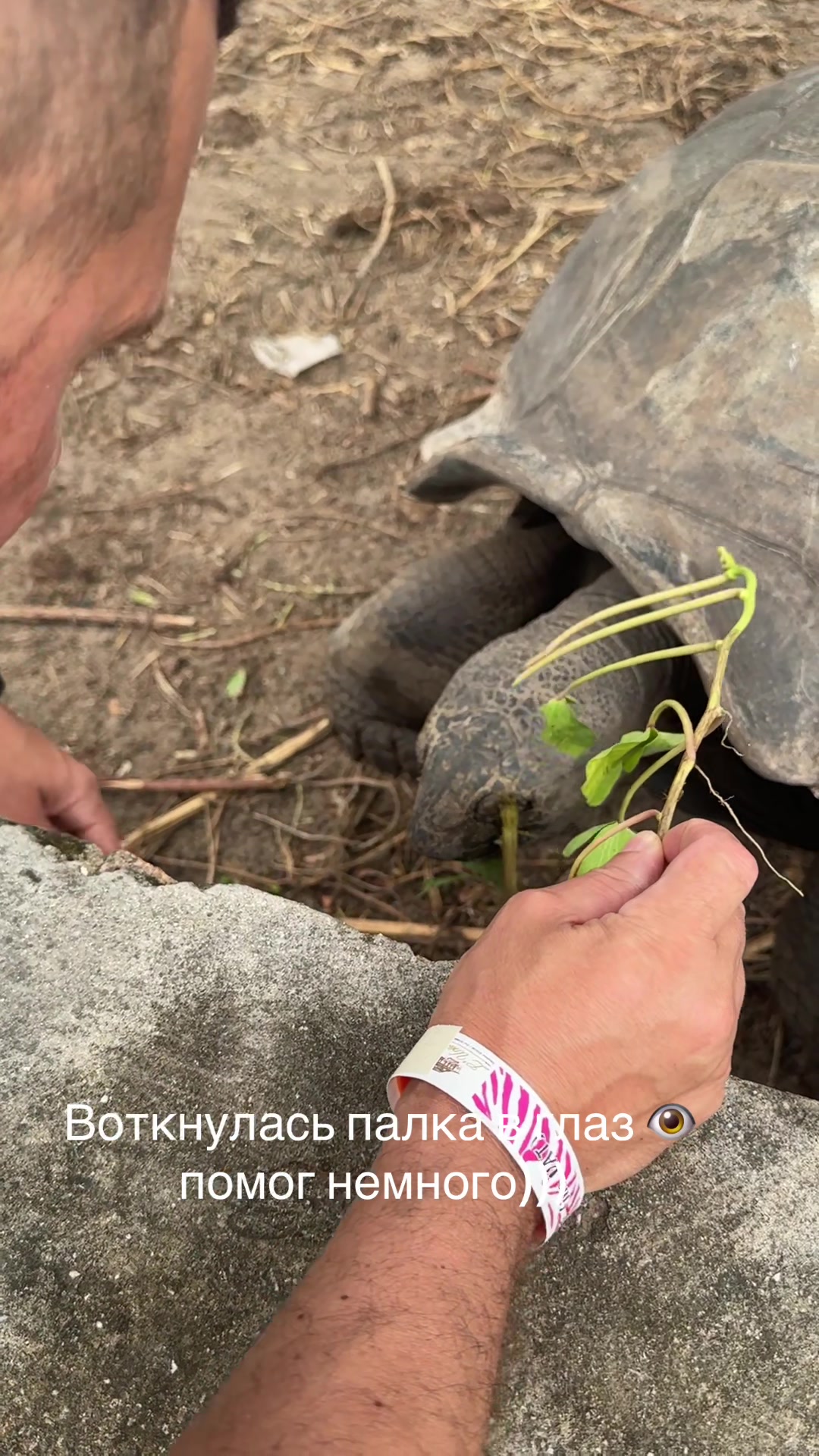 @Александр