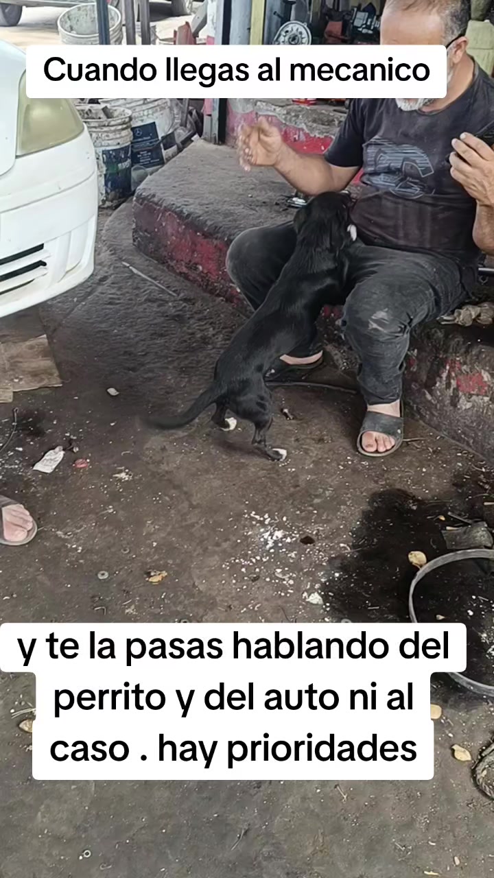@Andreina