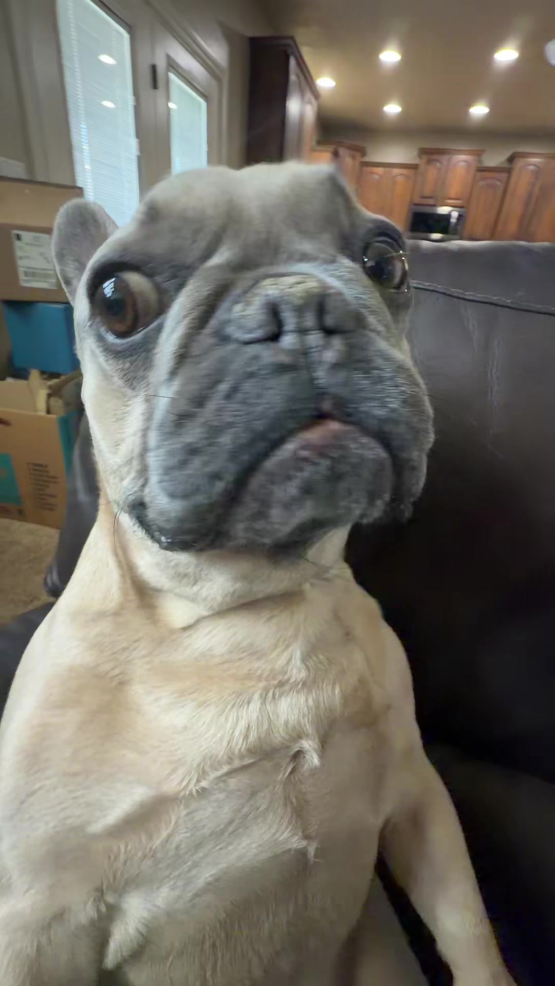 @bentleytheg0at
