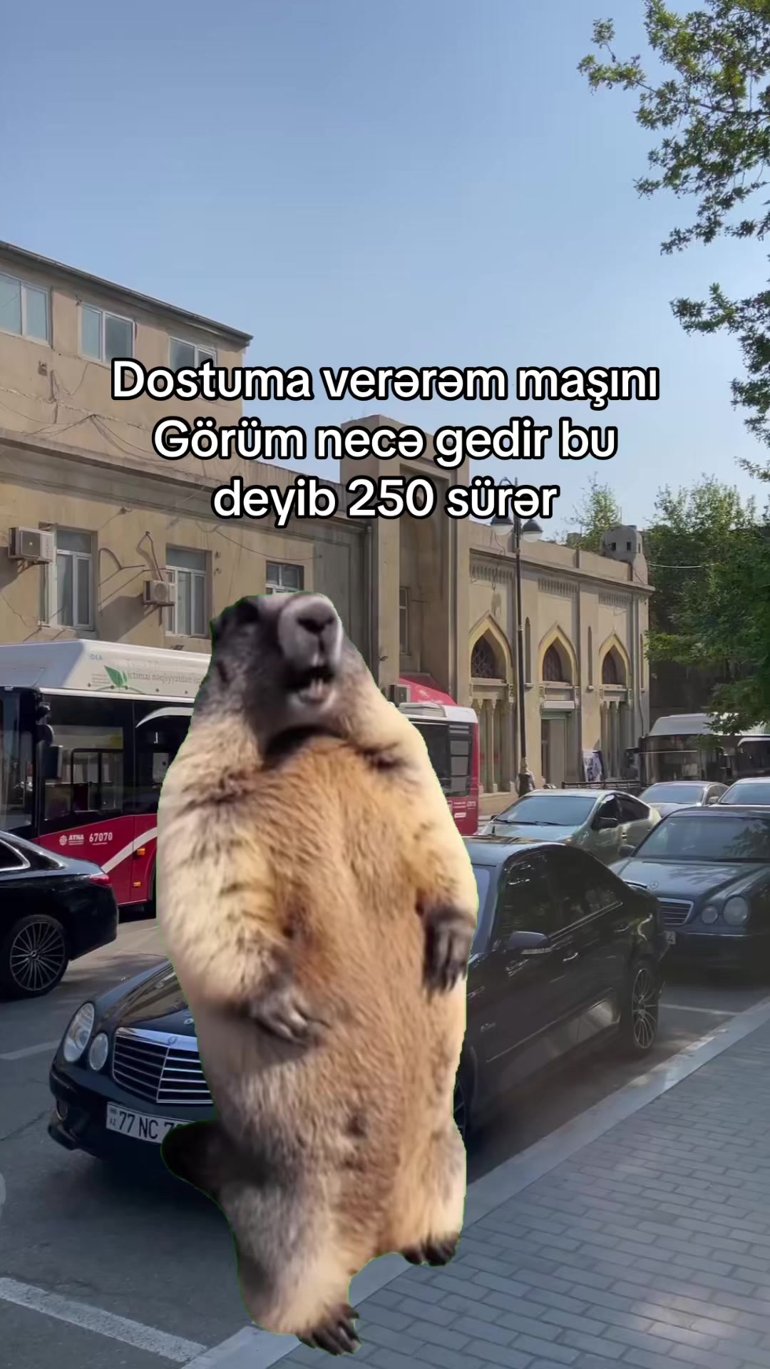 @𝐒𝟕𝟐𝟖