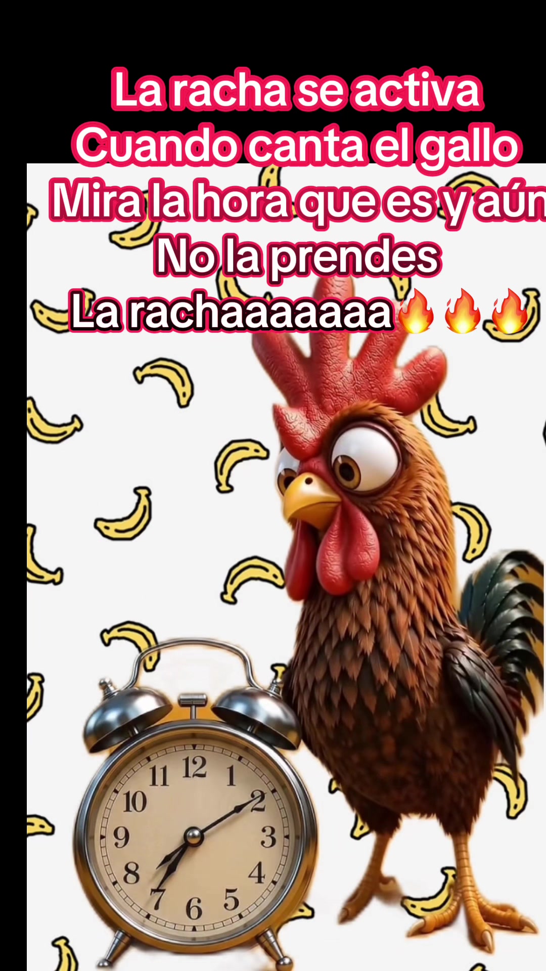 @🕷️Yaneth-13💵🐯🤠