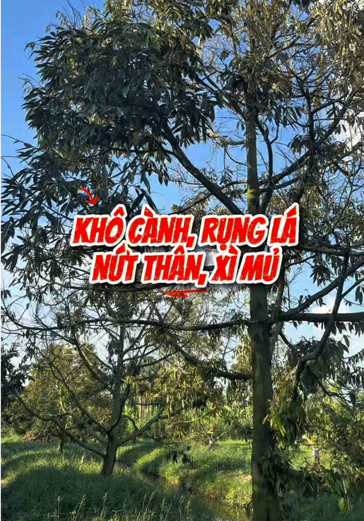 @Hộ Kinh Doanh Hào - Hưng
