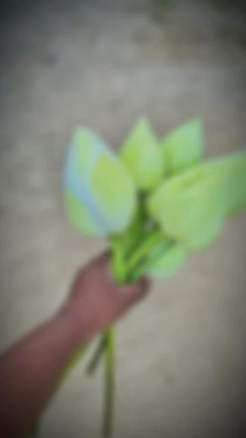 @ᴀᴋᴀᴄʜᴜᴜᴜ 