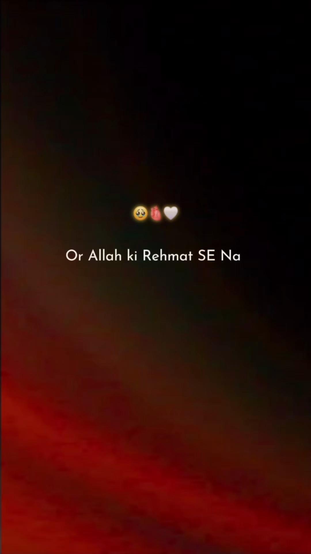 @ZK YOUSIFZAI😎