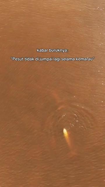 @BANG ARIE 99