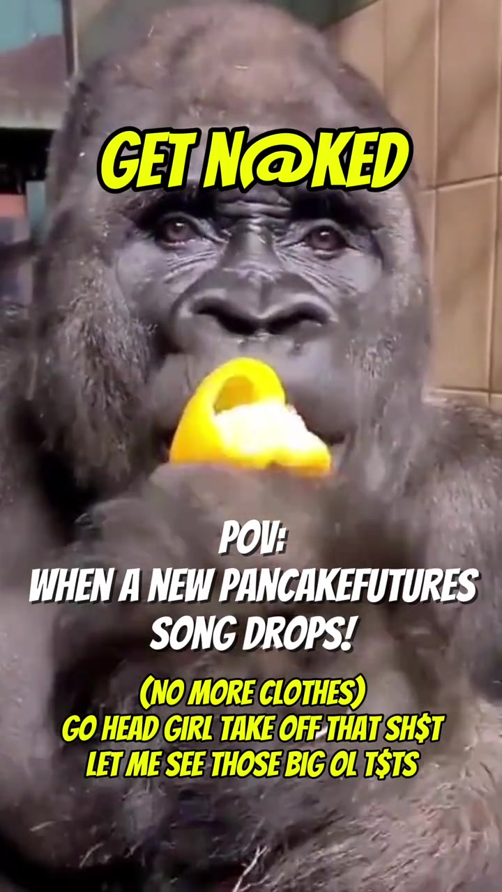 @Pancakefutures