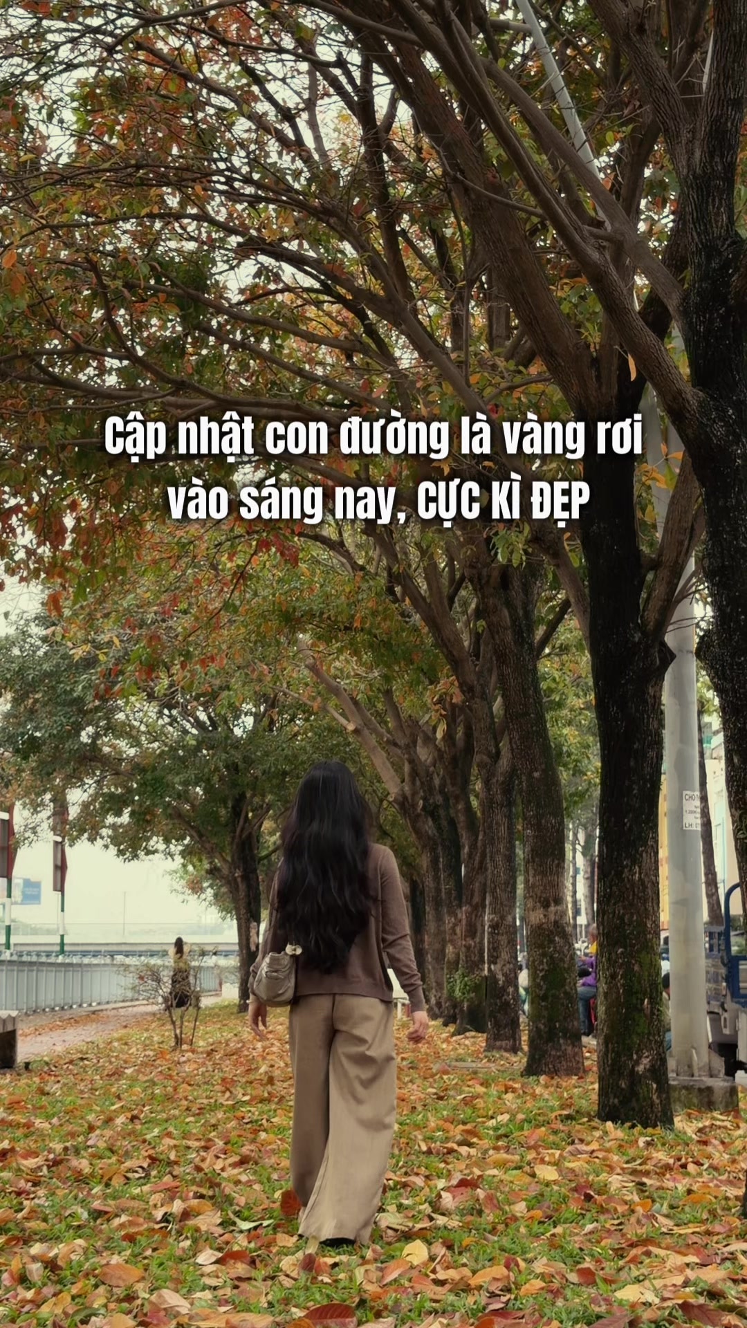 @Kita nèeee 💁🏻♀️