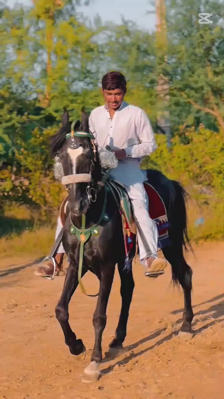 @Khokhar brand 246