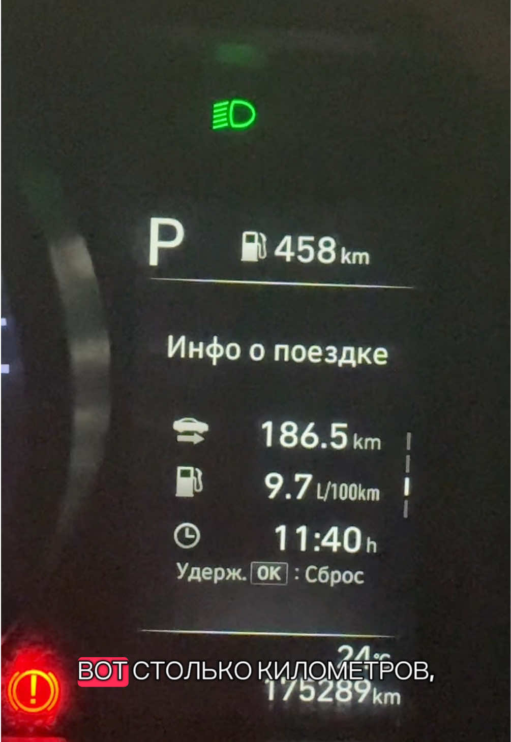 @MeirYandex🚩