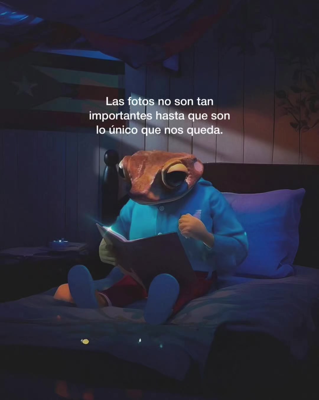 @Manuel Bonafinas