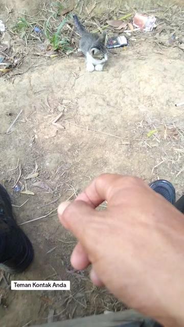 @Wahyu jk