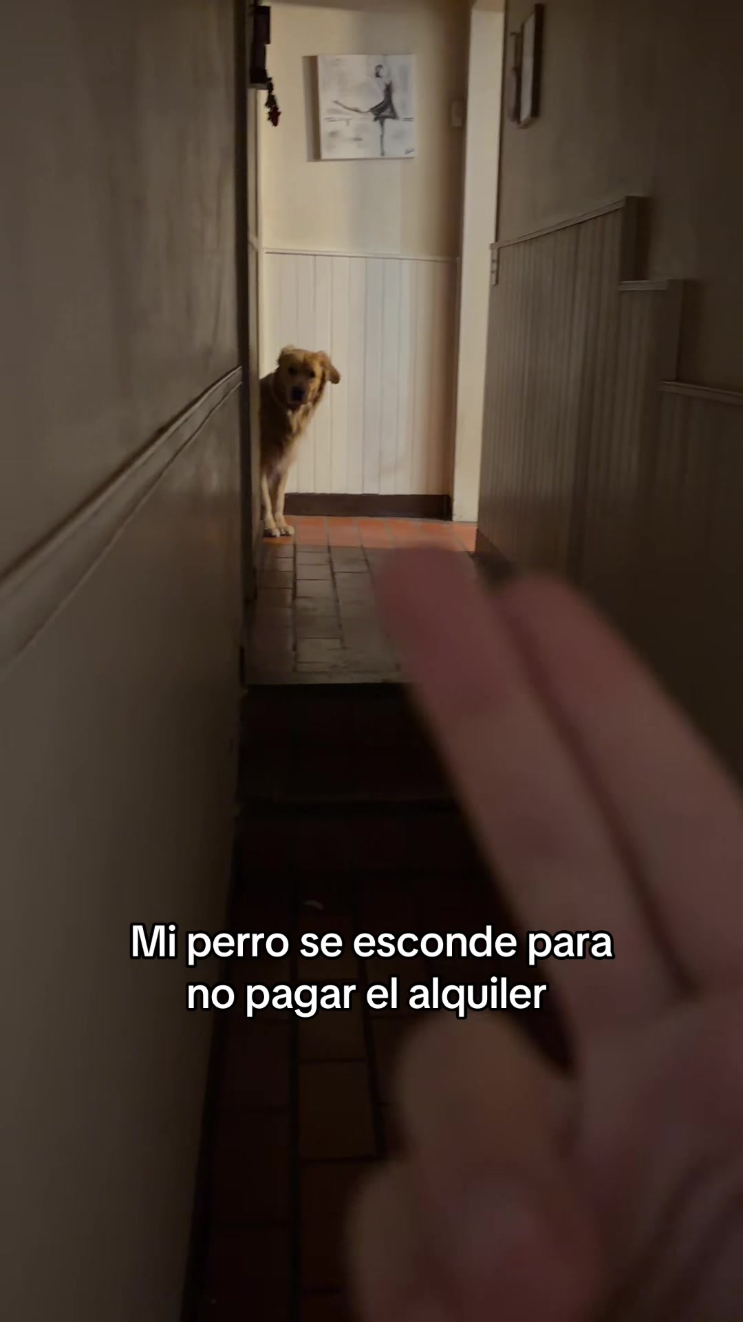 @Narco🐕🐾🐾