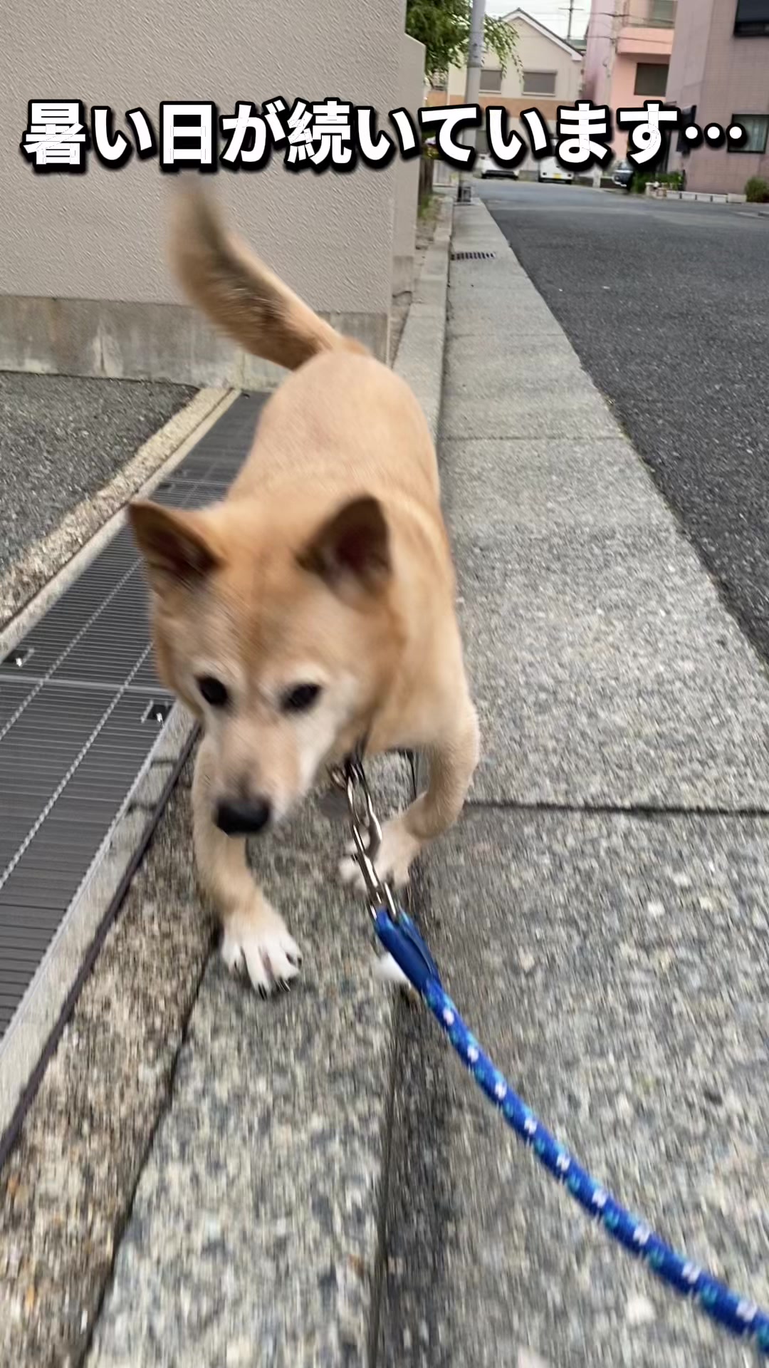 @てる