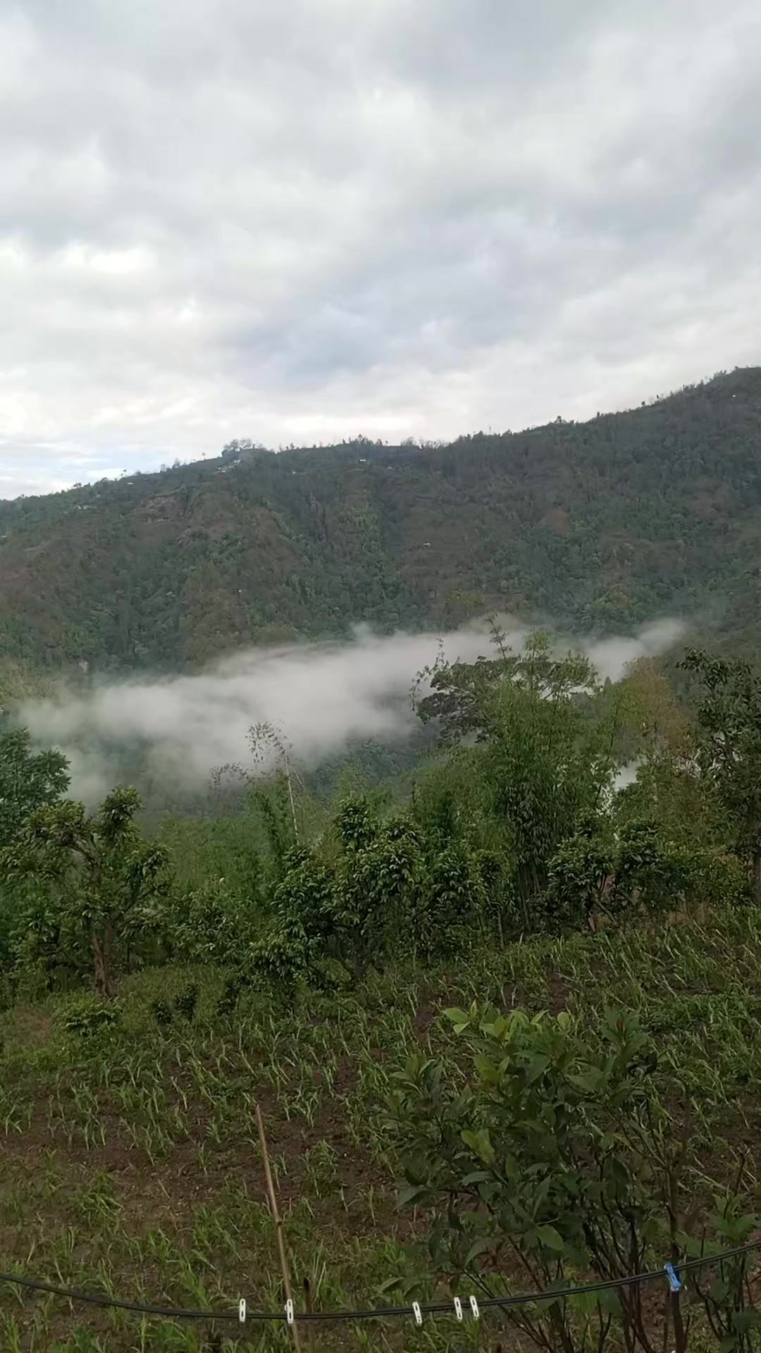 @शहरमा केही नभाकाे मान्छे