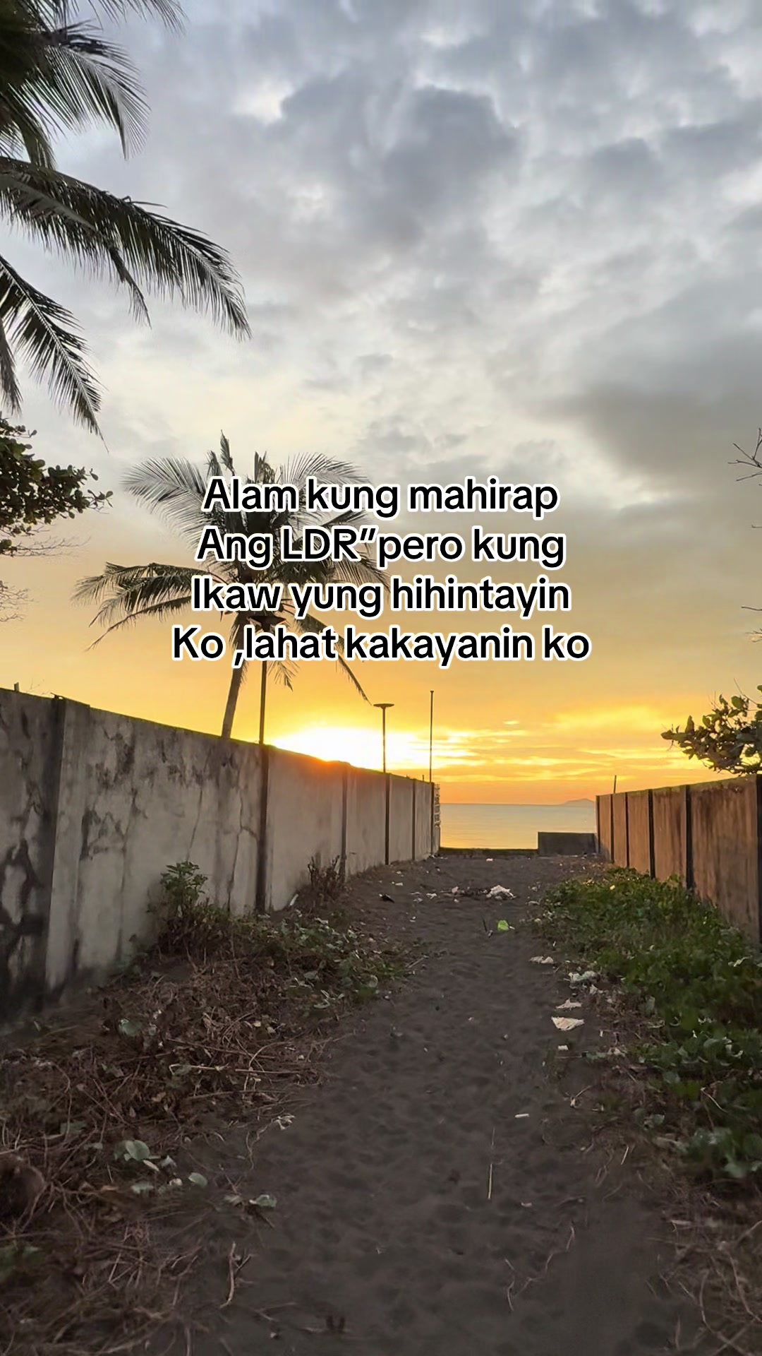 @MS.LOVE