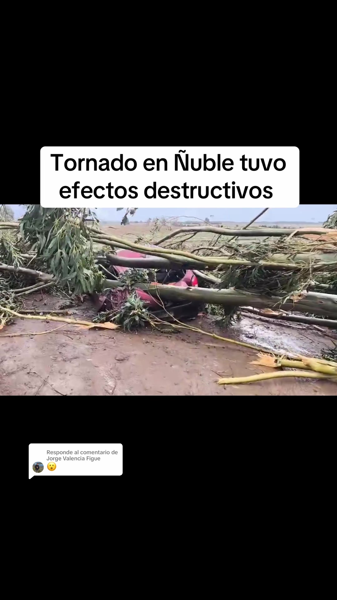@Jorge Valencia Figue