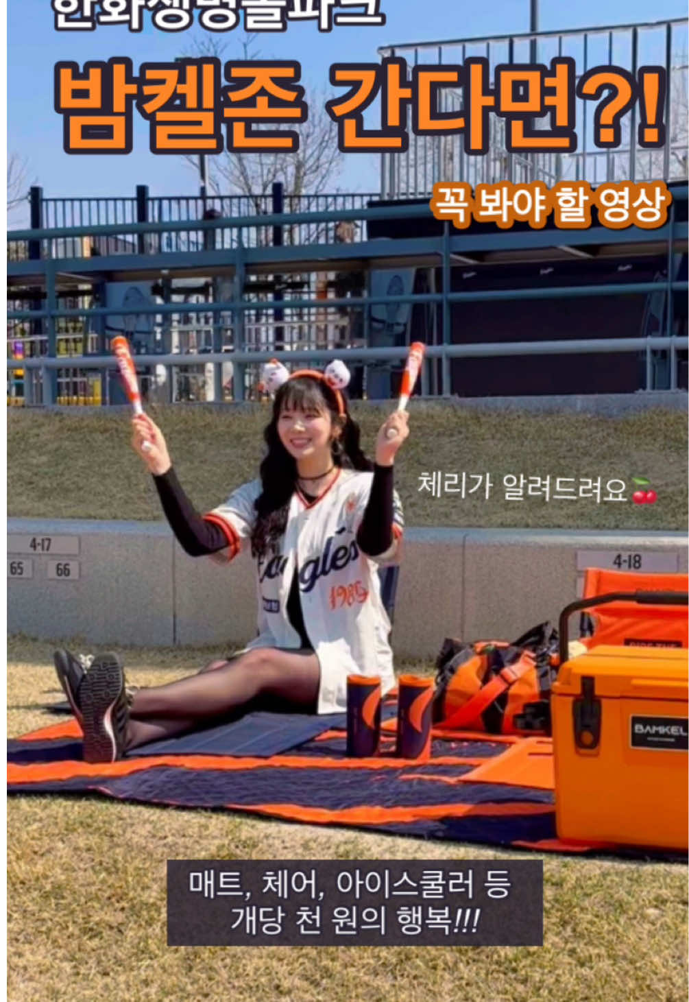 @체리포터