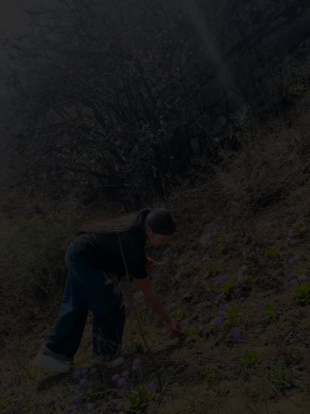 @प्रकृति 🖤🌷